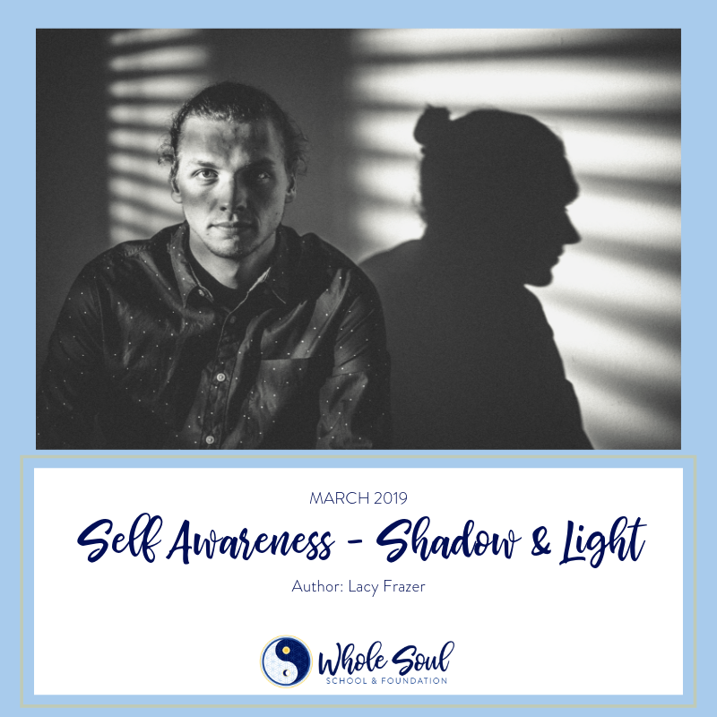 March 2019:  Self Awareness ~ Integrating Shadow and Light
