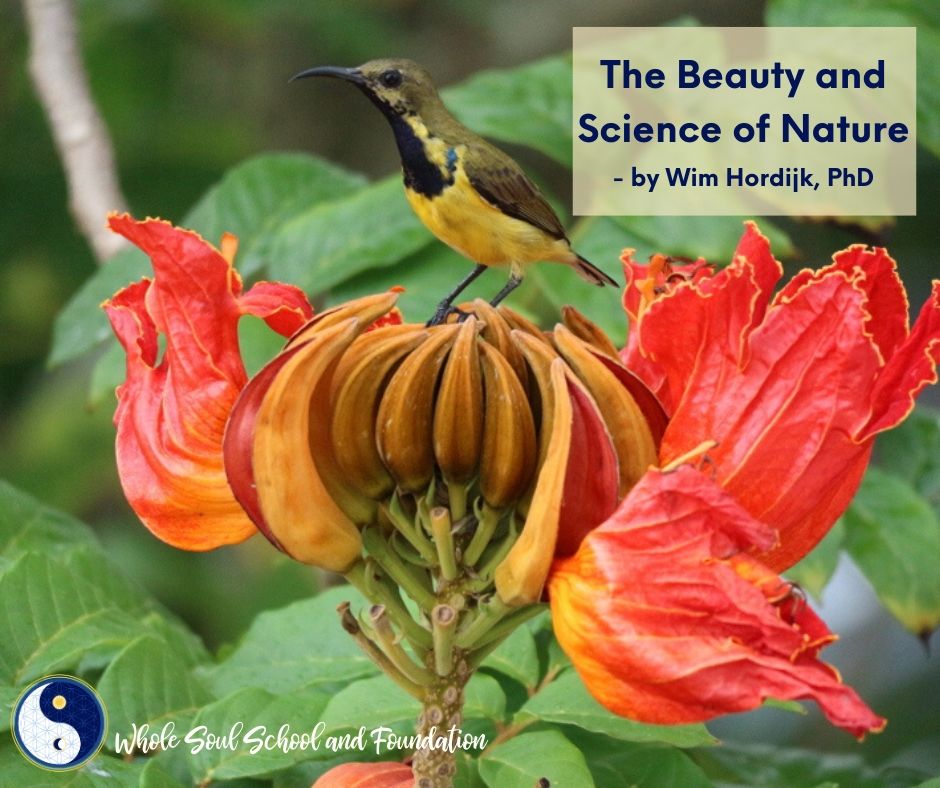 The Beauty and Science of Nature:  Insights from Wim Hordijk, PhD